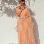 feuilles product image