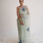 the indian roller product image