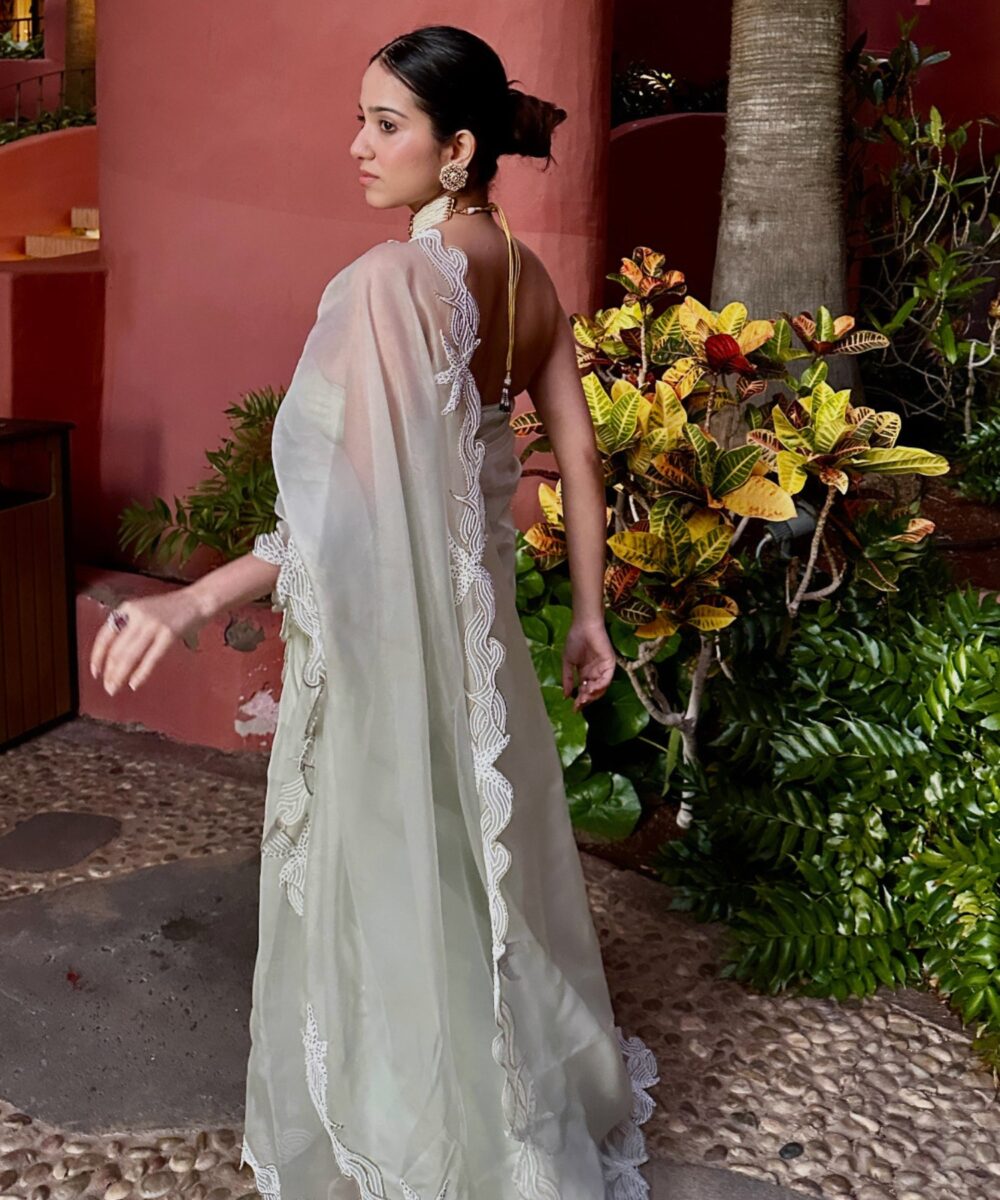 sea star product image 12