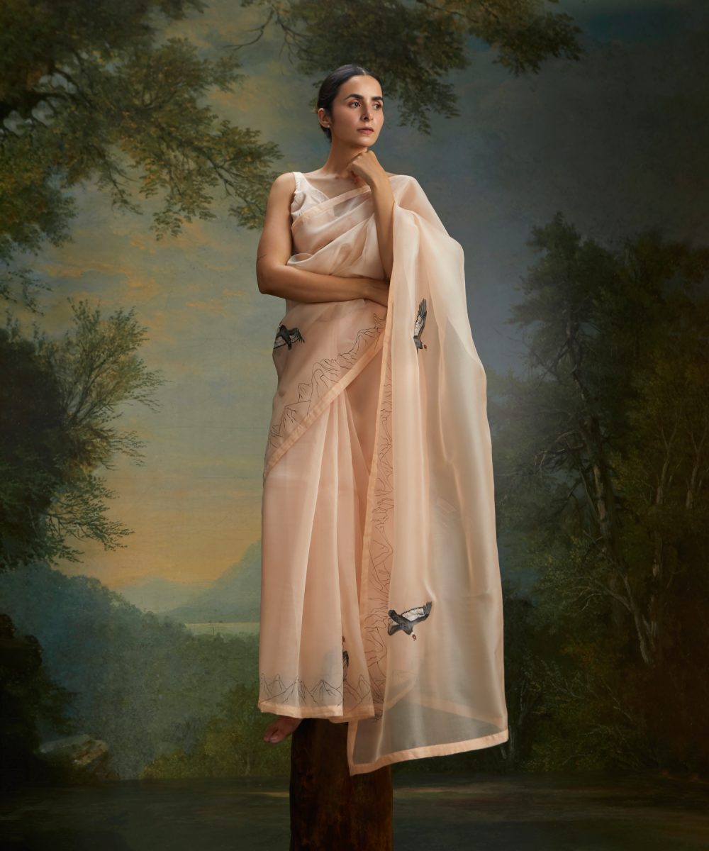 the andean condor image 1