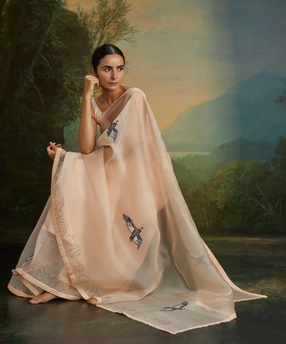 the andean condor image 2