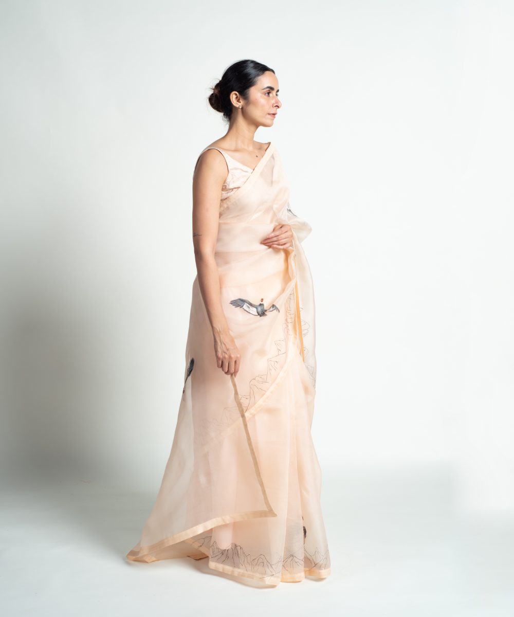 the andean condor image 6