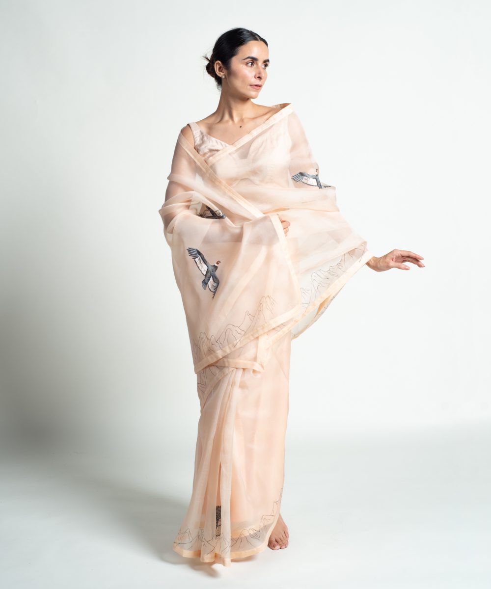 the andean condor image 7