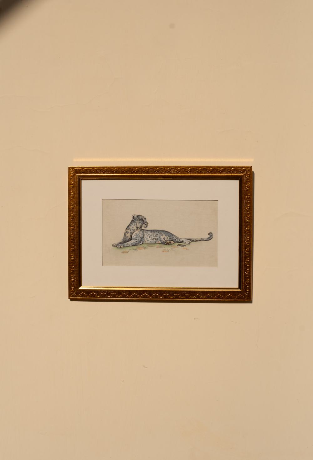 Leopards Grace image 1