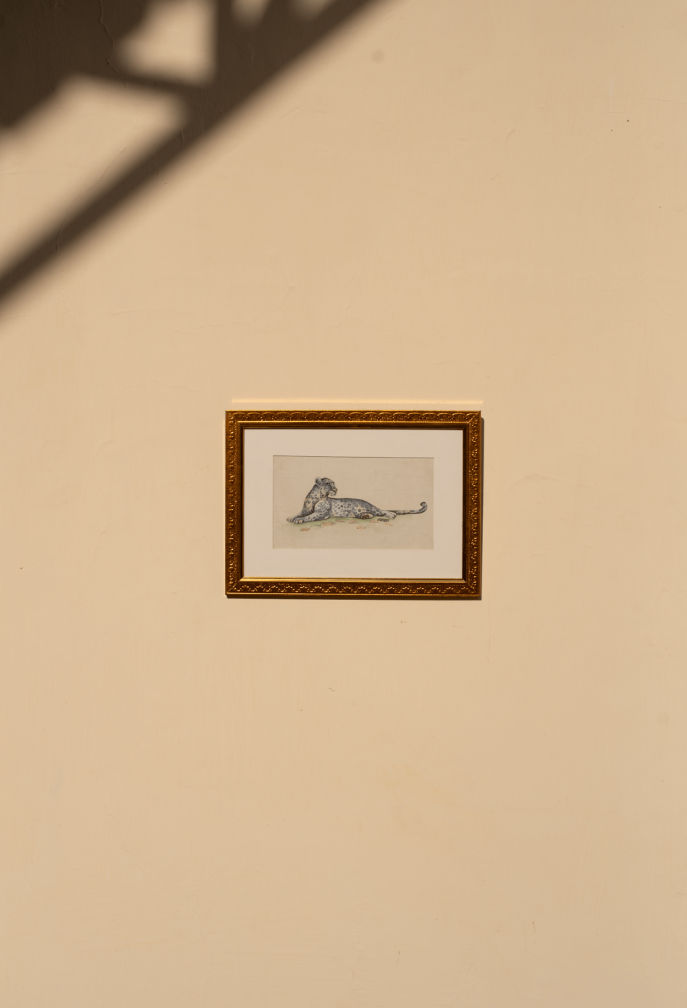 Leopards Grace image 2