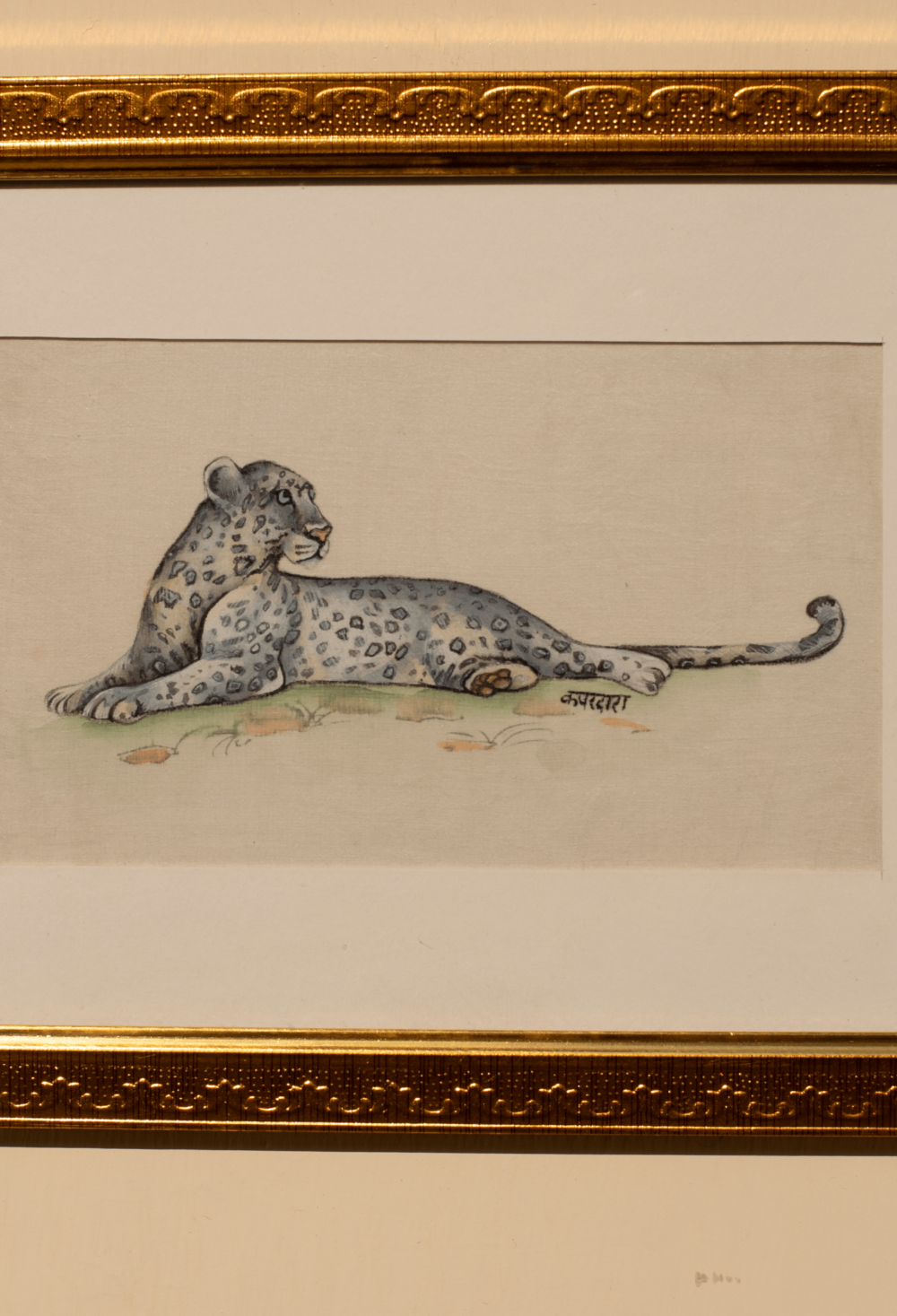 Leopards Grace image 3