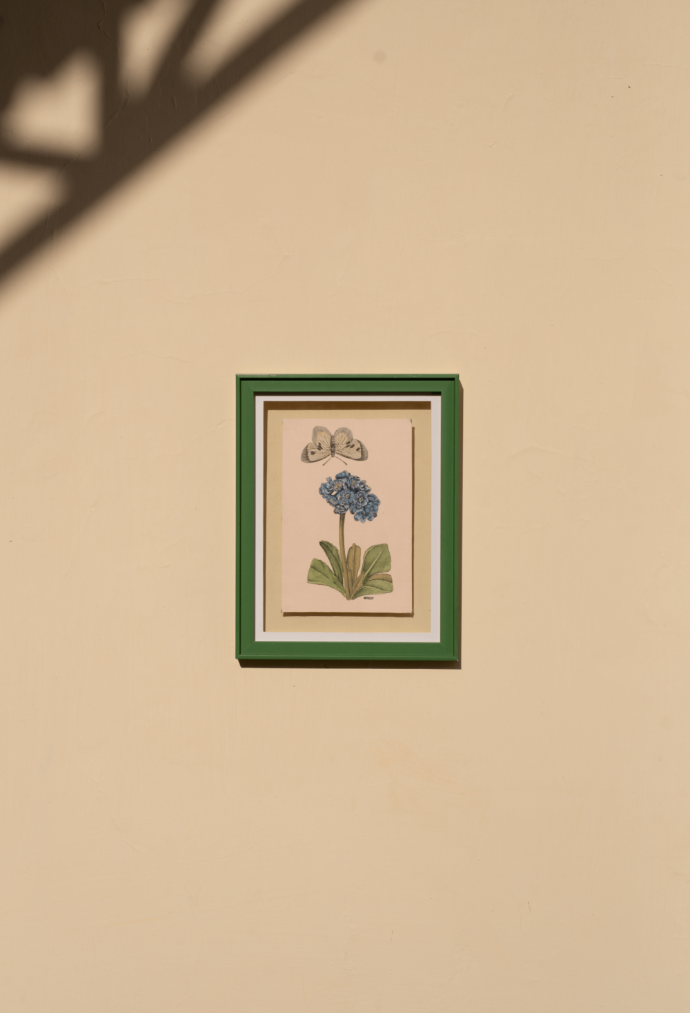 The Fluttering Blossom 2_